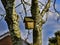 Bird House on Woodland Path in Spring in Burnley England