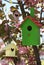Bird houses hanging on tree branches outdoors