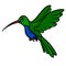 Bird hummingbird cartoon