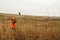 Bird hunter in field shooting Pheasant