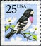 Bird illustration, Grosbeak, a form taxon containing various species of seed-eating passerine birds with large beaks