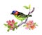 Bird illustration on watercolor blooming tree branch.