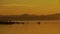 Bird island on lake Uvildy South Ural video