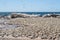 Bird Island Nature Reserve in Lambert`s Bay West Coast South Africa with flock of birds on the rocky beach next to ocean