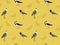 Bird Lapwing Wallpaper