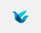 Bird logo design abstract modern colorful style illustration. Dove freedom vector icon symbol identity logotype