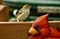 A bird looks over a large cardinal plaque.