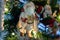 Bird loving Santa holding several cardinals decorative ornament