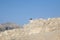 Bird in the Masada fortress