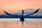 Bird, morning sunrise. Dalmatian pelican, Pelecanus crispus, in Lake Kerkini, Greece. Palican with open wing, hunting animal. Wild