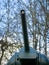 A bird in the muzzle of a memorial Soviet t-34 tank.