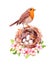 Bird with nest with eggs in spring flowers. Cherry, sakura flowers, pink apple blossom. Floral watercolor