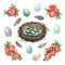 Bird nest, eggs, spring flowers decor painted set. Watercolor illustration. Hand drawn cozy springtime decoration