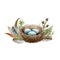 Bird nest floral herb decor. Watercolor illustration. Woodland rustic element. Hand drawn bird nest with eggs decoration