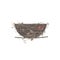 Bird nest icon isolated