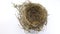 Bird nest made with twisted twigs as it turns on itself