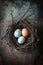 Bird Nest With Three Eggs