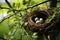 A bird nest with three eggs in a tree created with generative AI technology