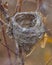 Bird nest in a tree - taken in the Crex Meadows Wildlife Area in Northern Wisconsin