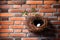bird nest in vent against a brick wall background