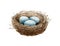 Bird nest watercolor illustration. Cozy spring natural bird house of straw and branches with blue eggs. Close up hand draw nest. S