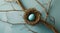 a bird nesting a blue egg on blue background