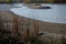 bird nests on man-made islands in the middle of