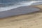 Bird next to the coast line of Namibe beach. Angola. Africa