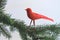 Bird ornament on a Christmas Tree