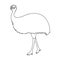 Bird, ostrich emu.African wild ostrich single icon in outline style vector symbol stock illustration web.