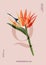 Bird of paradise graphic card design. Modern 3d realistic vector poster with exotic flowers vertical graphics, jungle botanical