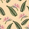 Bird of paradise tropical pink flower and leaves  seamless pattern. Jungle exotic plant for fabric design. South African blossom.