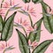 Bird of paradise tropical pink flower seamless pattern. Jungle exotic plant for fabric design. South African blossom flower.