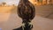 Bird paws of a falcon in a cowl.