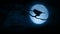 Bird pecking on branch in front of full moon