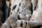 Bird perched on boulders