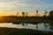 bird perched in a tree at sunset in the Florida Swamp