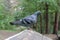 Bird pigeon on the feeder
