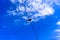 Bird on a powerline, with blue sky