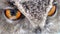 Bird of Prey`s Eyes