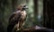 a bird of prey sitting on a branch in a forest with trees in the backgrouds and a blurred background of green foliage