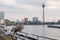 Bird on railing and defocused background of promenade riverside of Rhein tower, suspension bridge and Rhine tower in DÃ¼sseldorf.