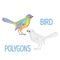 Bird rainbow polygons coloured and outline vector