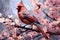 Bird red cardinal sitting on a branch of sakura blossoms. Generative AI