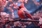 Bird red cardinal sitting on a branch of sakura blossoms. Generative AI