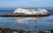 Bird Rock in Monterey Bay