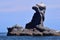 Bird rock, Rock Spirit : Vulcanic rock formation on Corona Island, Loreto Mexico