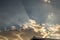 A bird on a rooftop silhouetted