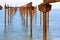 A bird on rusty, corroded pillars in ocean