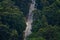 Bird\\\'s-eye or drone view of a road illuminated by the evening sunlight surrounded by a lush green forest.